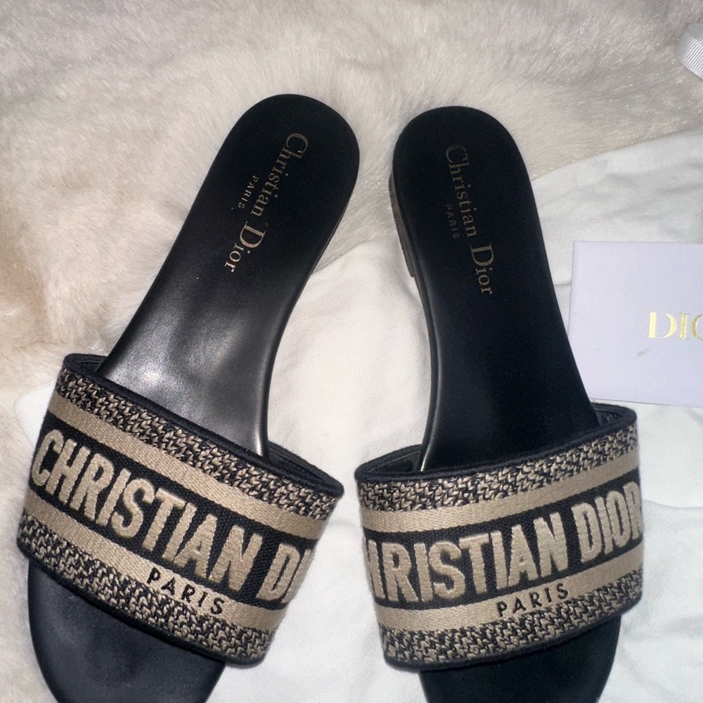 Dior Women's Navy and Tan Slides